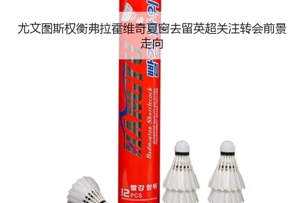 尤文图斯权衡弗拉霍维奇夏窗去留英超关注转会前景走向